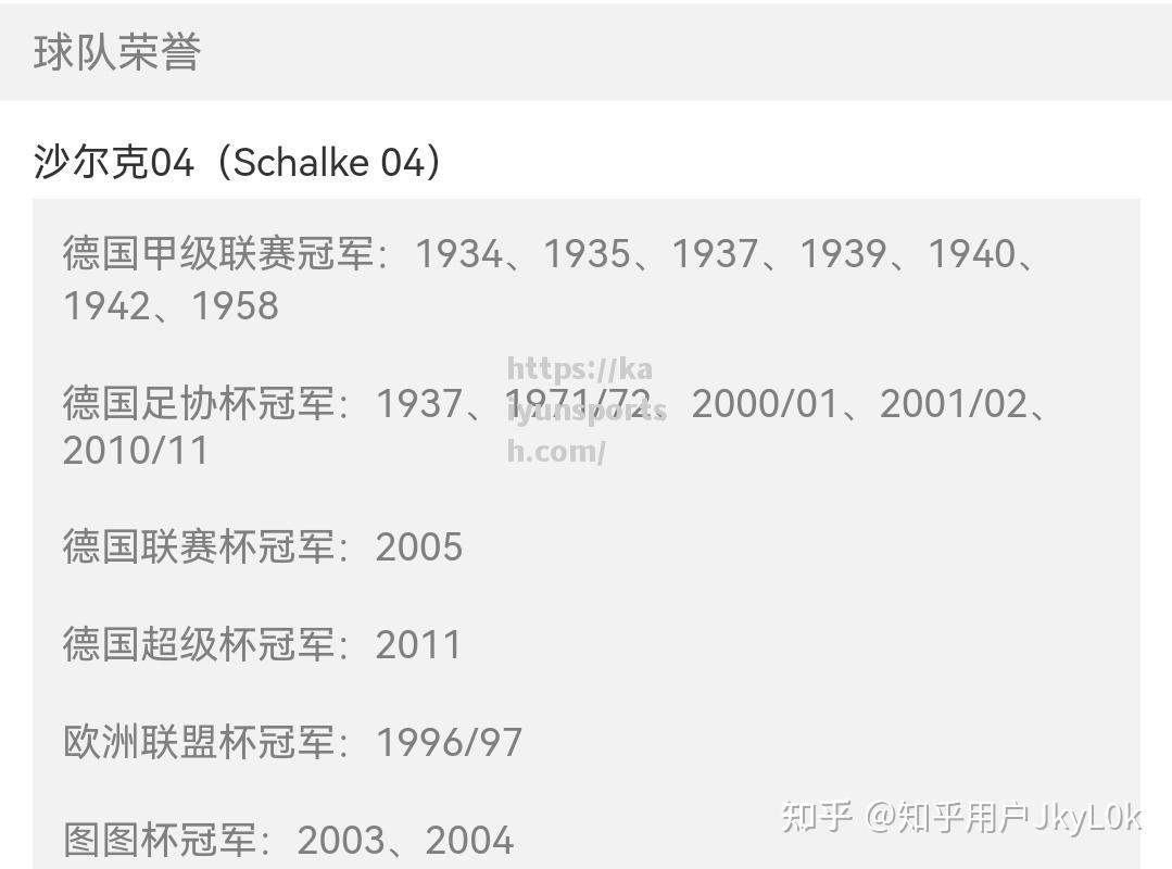 开云体育-沙尔克遭遇连败，德甲排名不容乐观